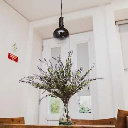 Casa De Couros Apartment